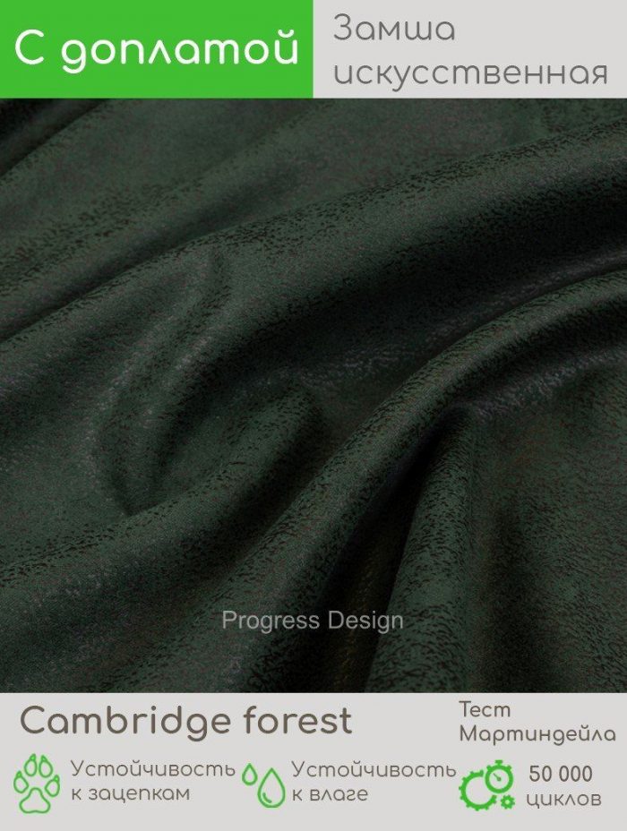 Cambridge forest