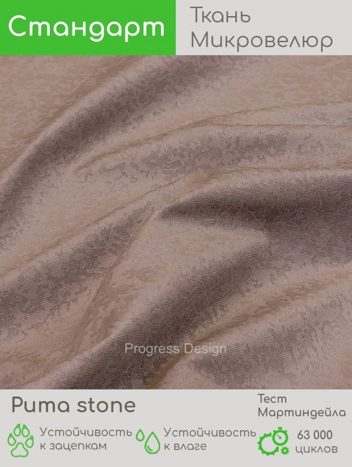 Puma stone