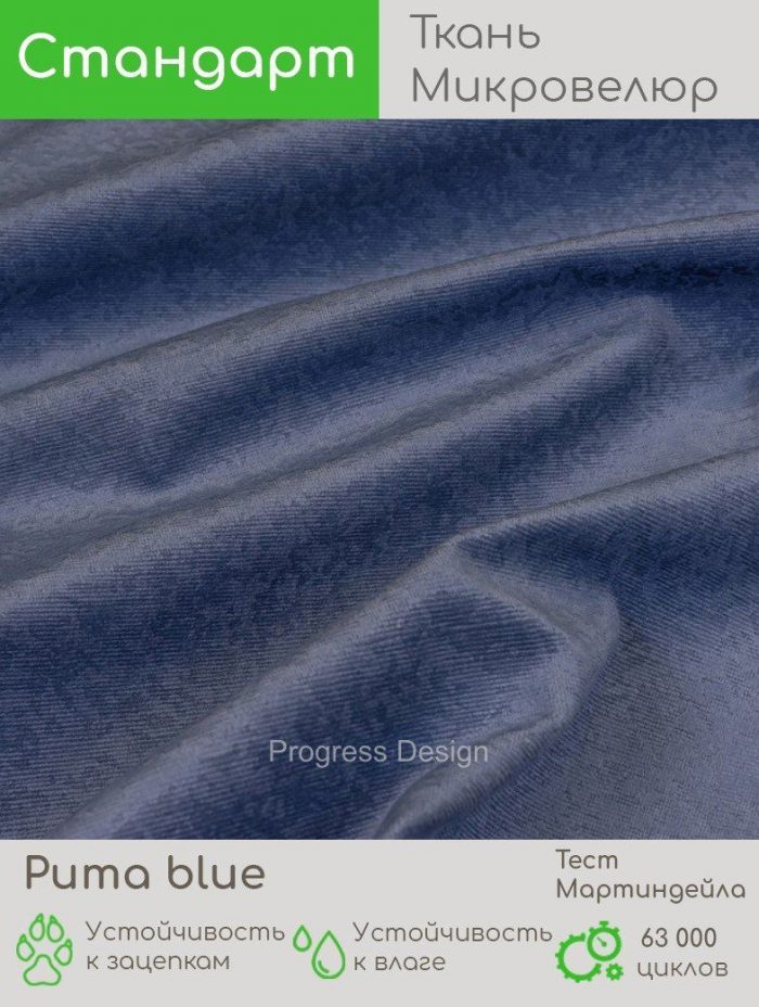 Puma blue