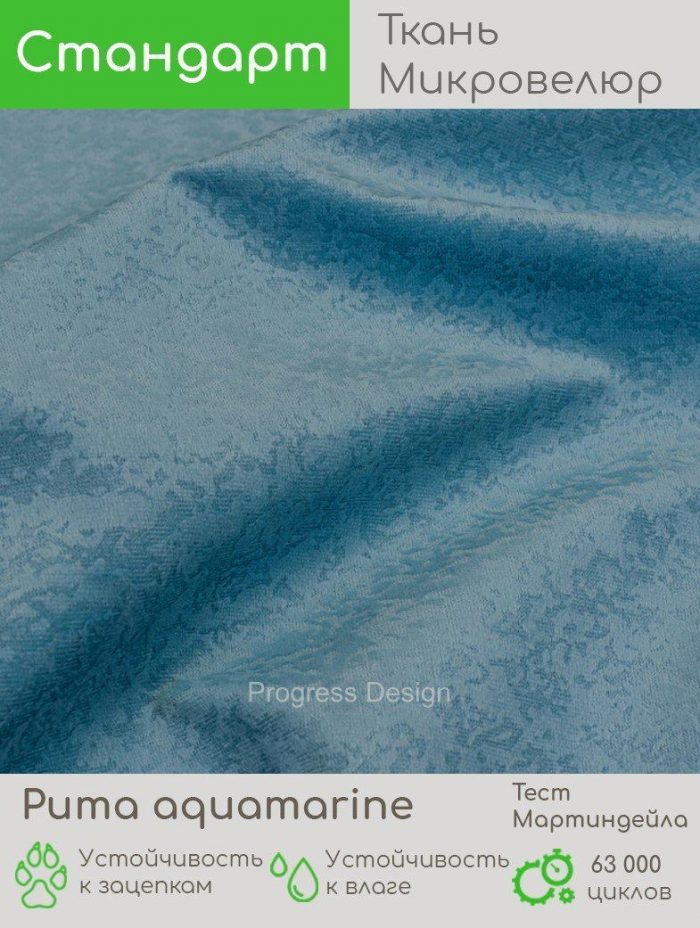 Puma aquamarine