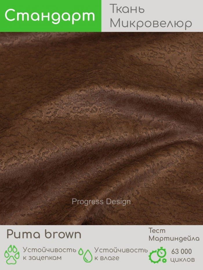 Puma brown