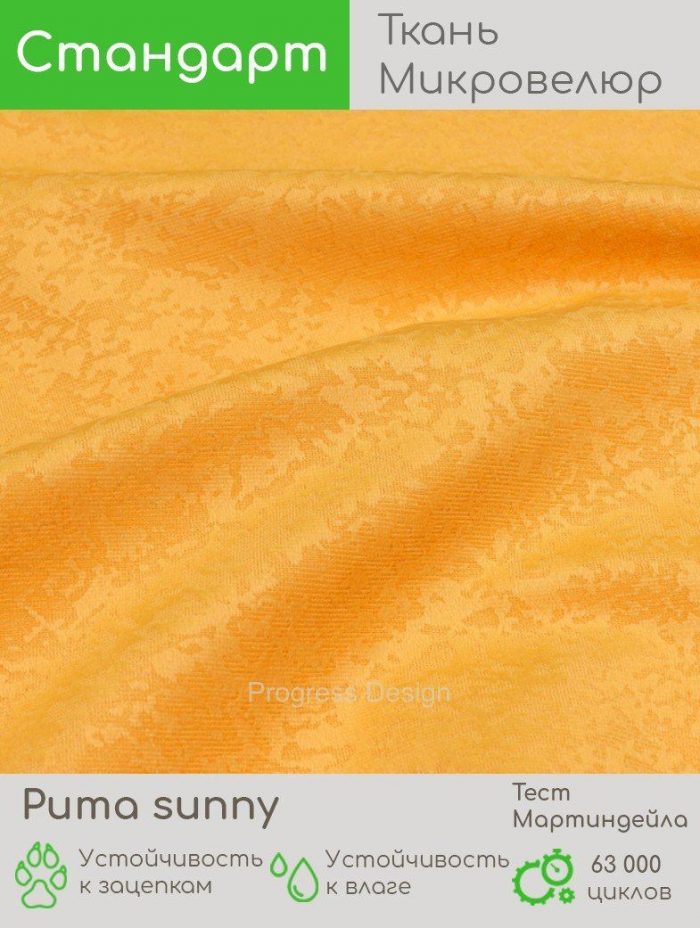 Puma sunny
