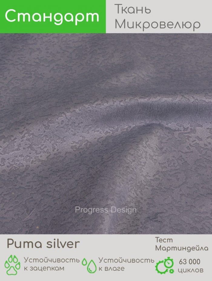 Puma silver
