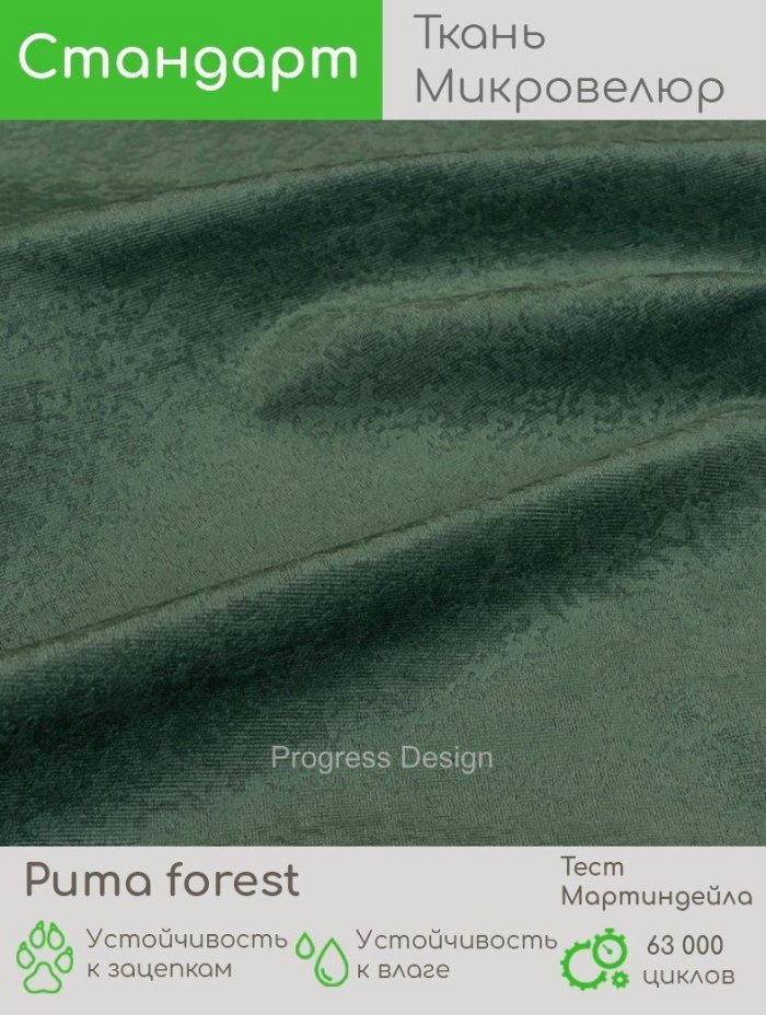 Puma forest